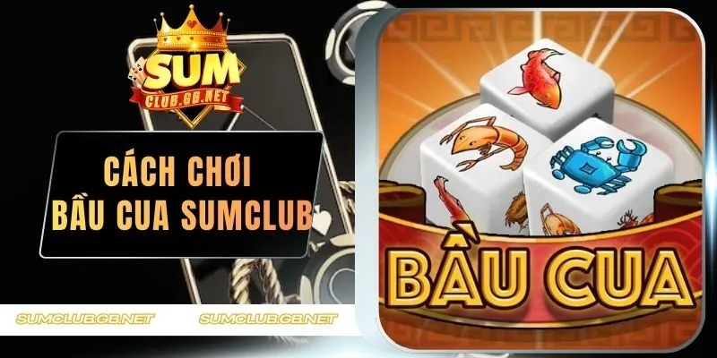 Cách Chơi Bầu Cua